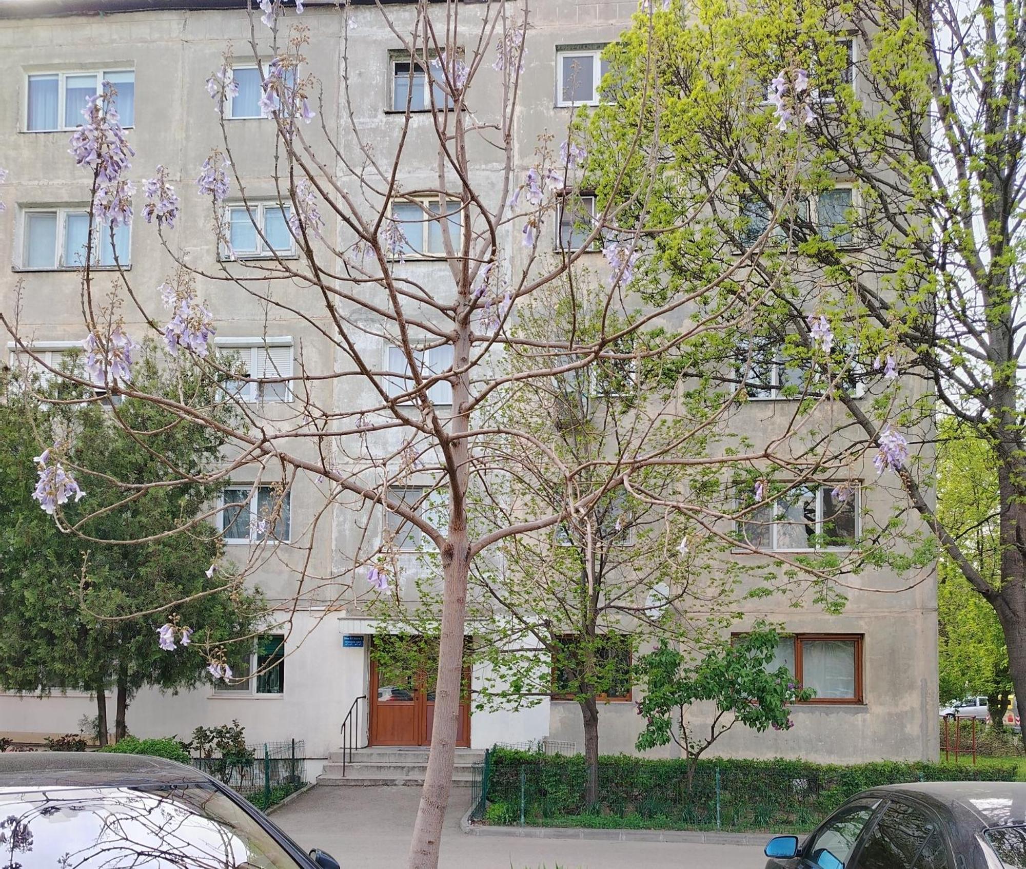 Arka Apartment クラヨーヴァ エクステリア 写真